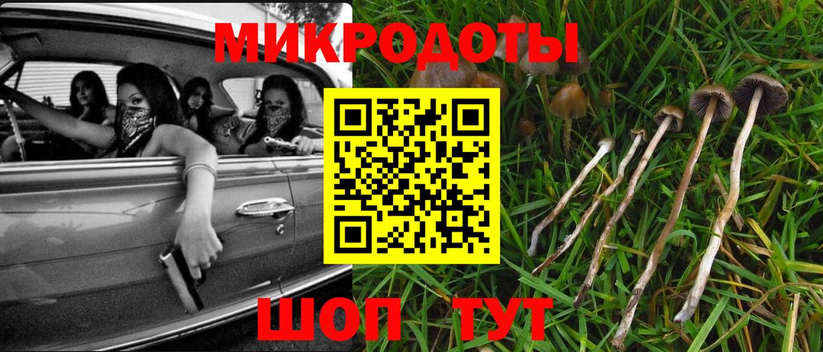 Киров  Псилоцибиновые грибы прущие грибы  Вход с VPN  Псилоцибиновые грибы MAGIC MUSHROOMS 